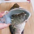 Quick Fish Scale Brush