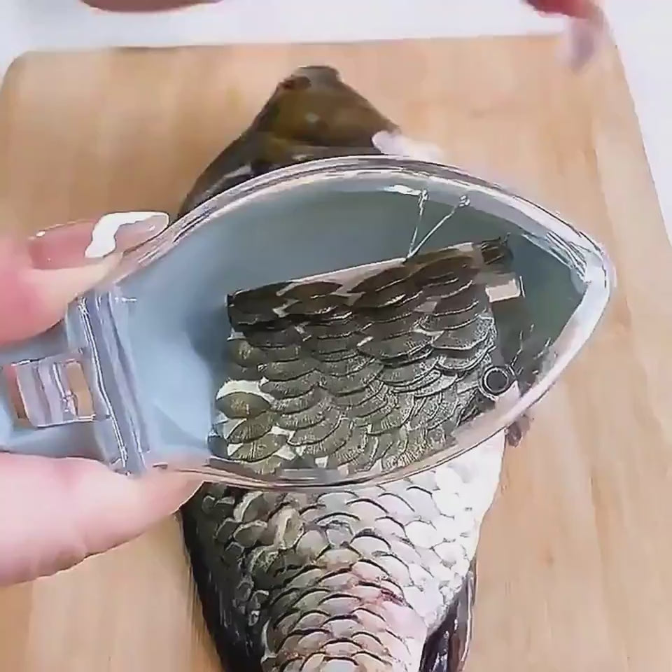 Quick Fish Scale Brush